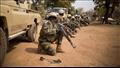 القوات المسلحة للنيجر