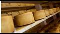قوالب الجبن تنهي حياة رجل إيطالي (1)