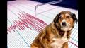 198-012214-هل تشعر الحيوانات بالزلازل قبل وقوعها؟.. لن تتوقع المفاجأة-feel-earthquakes-happen-2