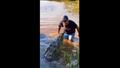  رجل هندي يثير الجدل بإطعام تمساح بطريقة خطر للغاية
