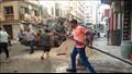 حملات على البناء المخالف بالإسكندرية 