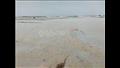 زبد البحر يزين شواطئ بورسعيد