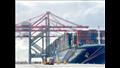 محطة تحيا مصر بالإسكندرية تستقبل أكبر سفينة حاويات في تاريخ الميناء