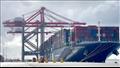 تداول البضائع بميناء الإسكندرية (1)