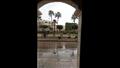 تجدد هطول الأمطار على الإسكندرية (4)