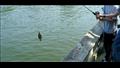 عصابة الصيد المُخالف ببحيرة البرلس