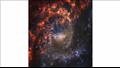 NGC 2835 المجرة الحلزونية