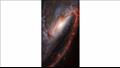 NGC 3627 المجرة الحلزونية