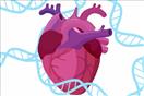 أمراض القلب الوراثية