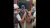 نمر يهاجم 3 عمال في غابة 
