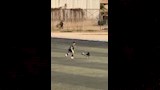 حارس مرمى الداخلية 2007 يلعب بالكرة مع كلب (4)