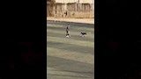 حارس مرمى الداخلية 2007 يلعب بالكرة مع كلب (6)