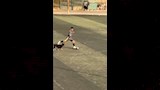 حارس مرمى الداخلية 2007 يلعب بالكرة مع كلب (7)
