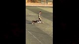 حارس مرمى الداخلية 2007 يلعب بالكرة مع كلب (8)
