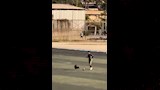 حارس مرمى الداخلية 2007 يلعب بالكرة مع كلب (9)