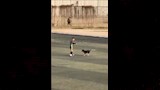 حارس مرمى الداخلية 2007 يلعب بالكرة مع كلب (5)