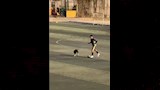 حارس مرمى الداخلية 2007 يلعب بالكرة مع كلب (10)