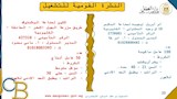 فرص عمل جديدة ووظائف متاحة في المحافظات