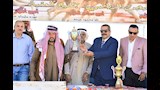 مهرجان سباق الهجن التنشيطي بنويبع