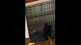 التيك توكر نبوية جمعة (6)
