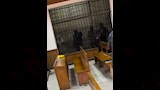 التيك توكر نبوية جمعة (3)