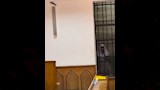 التيك توكر نبوية جمعة (5)