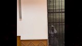 التيك توكر نبوية جمعة (2)