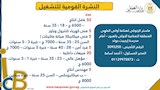 فرص عمل (13)