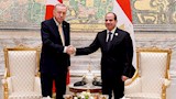 الرئيس السيسي يلتقي الرئيس أردوغان