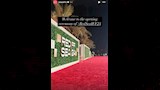 مهرجان البحر الأحمر السينمائي