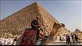 سر غياب الجمل عن حضارة مصر القديمة 