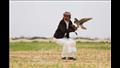 سباق حورس للطيور الجارحة بصحراء برج العرب 