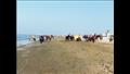 إقبال كبير من المواطنين على شواطئ بورسعيد (2)