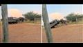 سلي صيامك/ فيل يهاجم سيارة سفاري ويرفعها بأنيابه في الهواء (فيديو)