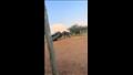 سلي صيامك/ فيل يهاجم سيارة سفاري ويرفعها بأنيابه في الهواء (فيديو)