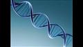 استخدامات  الحمض النووي