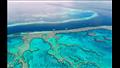 المنطقة المتضررة في الخاجز المرجاني العظيم تبلغ 1100 كيلومتر