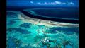 توفر الشعاب المرجانية حاجزًا ضد 97٪ من طاقة الأمواج