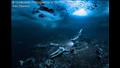 أفضل مصور تحت الماء لهذا العام.. عظام الحوت لأليكس داوسون (السويد)