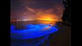 أضواء المياه الغامضة في خليج جيرفيس.. أستراليا