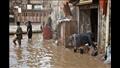 الفيضانات في اليمن (4)