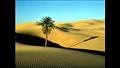 صحراء الكفرة في ليبيا