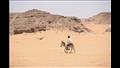 صحراء وادي حلفا السوداني