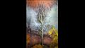 شجرة القرنفل للمصور دانييل فرانك