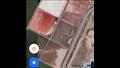 مياه ملاحات بورسعيد تظهر بألوان زاهية على خرائط جوجل ما السر