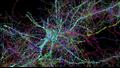 جوجل وهارفارد يرسمان أدق خريطة للدماغ البشري