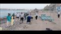 حملات النظافة بشاطئ البلوهول بمدينة دهب بمشاركة السائحين والمواطنين (3)