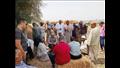 يوم حصاد البنجر في محافظة البحيرة