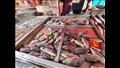 أسعار الأسماك بأسواق الإسكندرية ٦