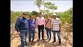 زراعة نبات الكاسافا بالوادي الجديد